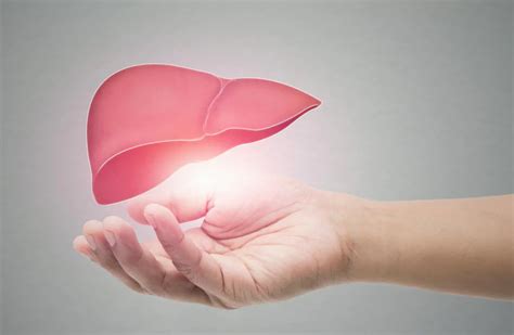 How To Identify Healing Signs In Your Liver