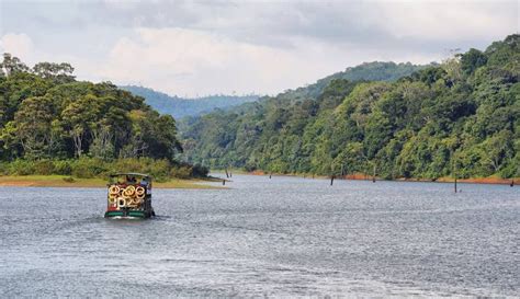 Know Everything About Periyar River: A Vital Artery in the Heart of Kerala