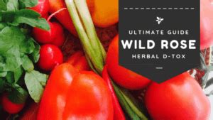 Wild Rose Detox Recipes Ultimate Cleanse Guide