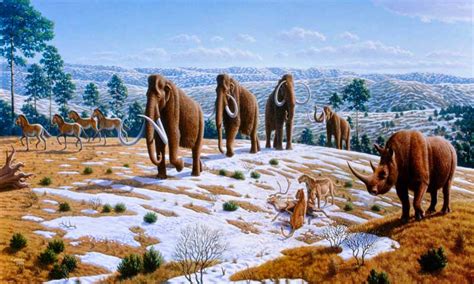 The Untold Story of the Pleistocene Ice Age! - Supari.in