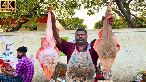 KASIMEDU SPEED SELVAM RARE RAY FISH CUTTING IN KASIMEDU 4K