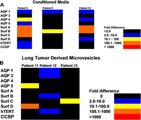 Conditioned Media Or Lung Tumor Derived Microvesicles Co Cultured With