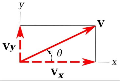 Vector Qué Es Características Elementos Tipos Ejemplos Ejercicios