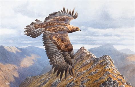 Golden Eagle Painting