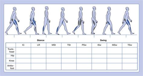 Gait Analysis Technology And Clinical Applications Musculoskeletal Key