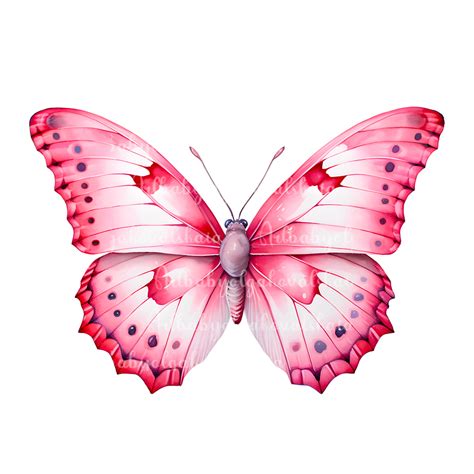 Butterfly Clipart, Watercolor Pink Butterfly PNG, Digital Download - Etsy