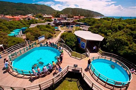 Projeto Tamar Tudo que você precisa saber Tourb Florianópolis