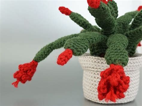 Christmas Cactus Crochet Pattern Planetjune By June Gilbank Blog