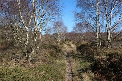 Path On Kelling Heath Hugh Venables Cc By Sa Geograph Britain