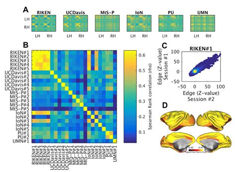 Reproducibility Of Resting State Functional Connectivity Fc Within Download Scientific