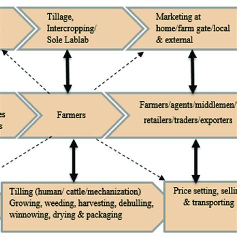 Value Chain Mapping For Lablab Crop In Tanzania Tadesse And Bakala Download Scientific