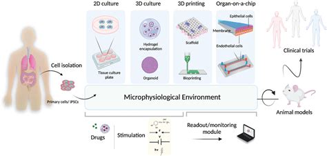 Advanced Materials And Sensors For Microphysiological Systems Focus On