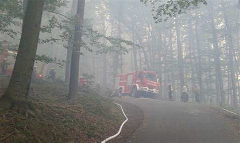 Nationalpark Dankt Allen Helfern Beim Kampf Gegen Waldbr Nde