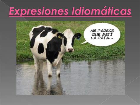 PDF Expresiones Idiomc3a1ticas DOKUMEN TIPS