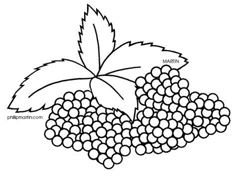 berries clipart black and white 10 free Cliparts | Download images on Clipground 2024