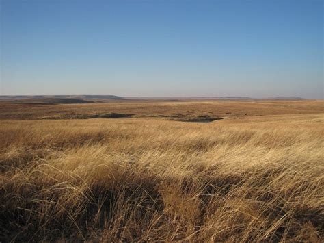 Brown Grass Field And Hills Landscape