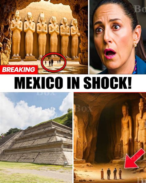 New excavations in Mexico will soon show where did chihuahuas come from 15