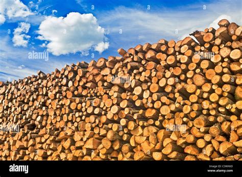 Pile Of Logs For Firewood France Stock Photo Alamy