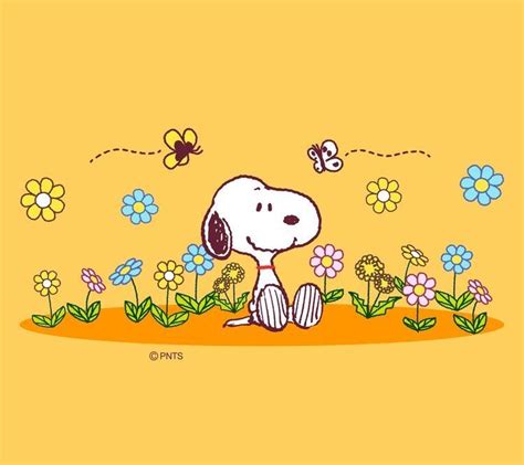 Frühling Wallpaper Snoopy Wallpaper Spring Wallpaper Charlie Brown