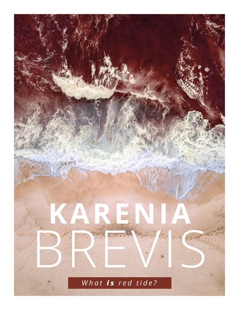 Karenia Brevis - Magazine Insert on Behance