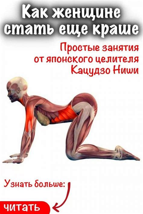 Картинки Анатомия йоги атлас (38 шт.) - #11393