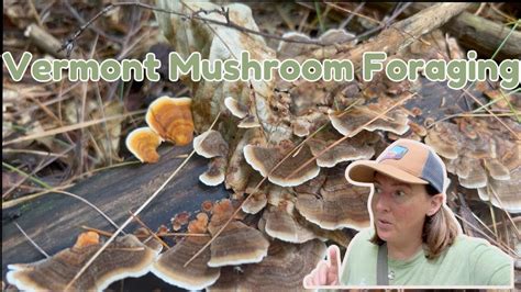 Foraging For Wild Edible September Mushrooms In Our Vermont Woods Youtube