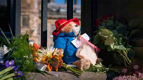 Paddington Bear Tributes For Queen Elizabeth II To Go To Charity Know