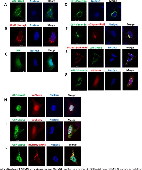 Figure From Phosphoproteomics Analysis Identifies Novel Candidate