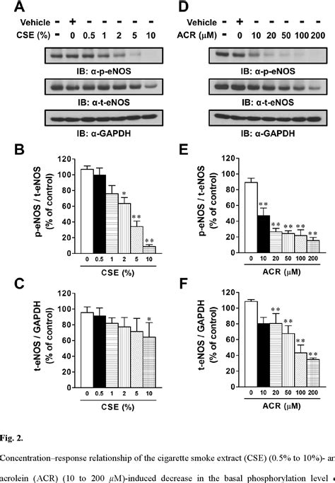 Figure 1 From Cigarette Smoke Extract And Its Cytotoxic Factor Acrolein