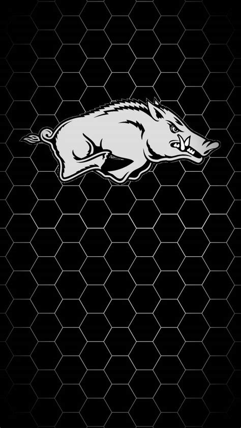 Hog Rider Wallpapers - Top Free Hog Rider Backgrounds - WallpaperAccess