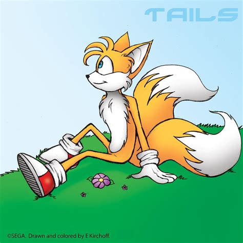 Miles Tails Prower Sonic Show Wiki Fandom