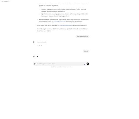 Chat gpt neden bu kadar yavaş Bugs OpenAI Developer Forum
