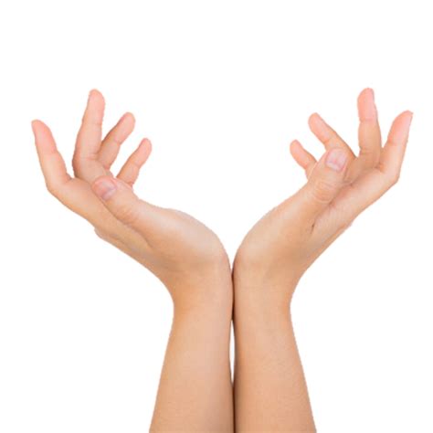 Hand Png Image Purepng Free Transparent Cc0 Png Image Library