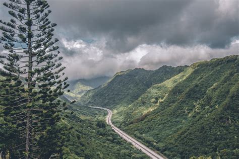 Aiea Loop Trail Wanderlustyle Hawaii Travel And Lifestyle Blog