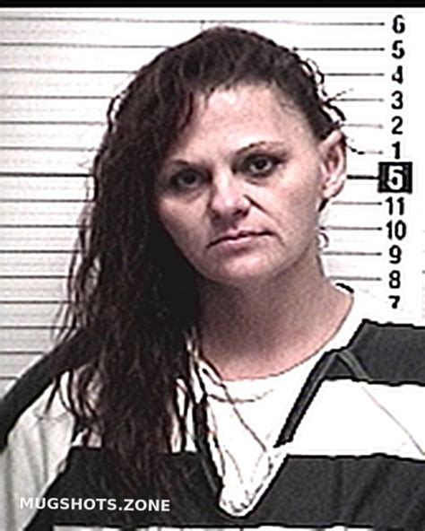 Taylor Linda Marie 02 17 2023 Bay County Mugshots Zone