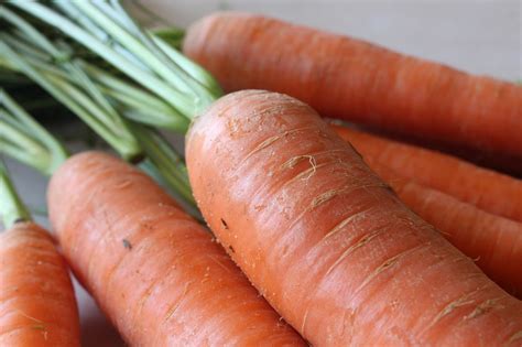 Carrot Carrots Karotte Kostenloses Foto Auf Pixabay