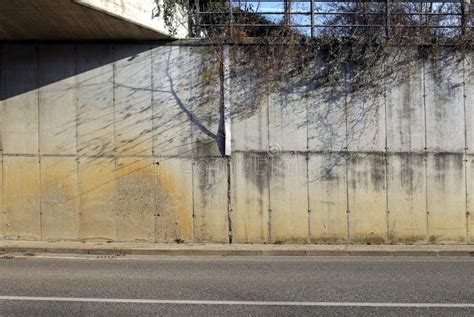 Pared De Hormig N Grueso Alto Con Vegetaci N Y Maleza Acera Y Dos