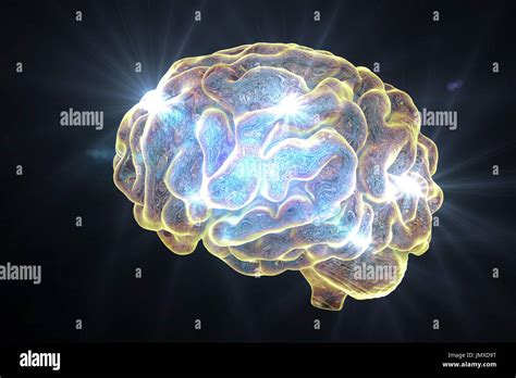 Brain Anatomy Sagittal View Immagini E Fotografie Stock Ad Alta