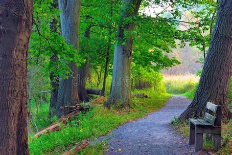 Nature Trail Signs stock photo. Image of ordinanace, hiking - 15058684