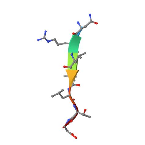 RCSB PDB 1DKZ THE SUBSTRATE BINDING DOMAIN OF DNAK IN COMPLEX WITH A