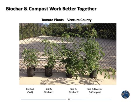 Biochar And Compost For Healthy Soils And Carbon Sequestration Solana