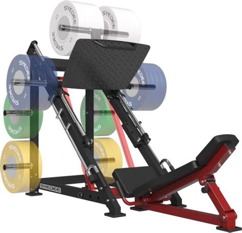 8 Best Leg Workout Machines At The Gym: Top Coach's Picks