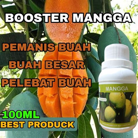 Jual Pupuk Cair Organik Mangga Super Lebat Booster Mangga Biar Cepat