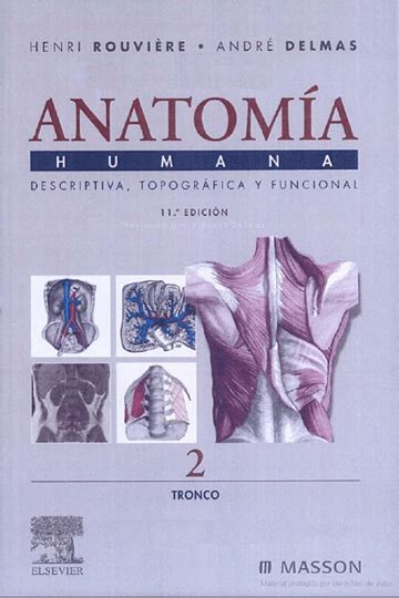 Anatomía Humana Descriptiva Topográfica Funcional 11 ª edición Tomo