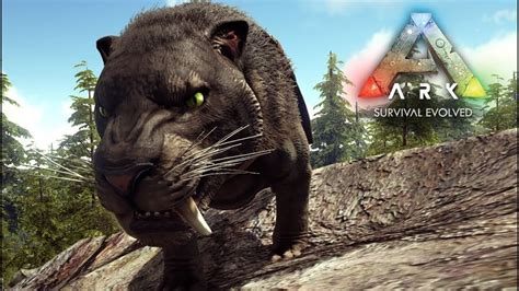 Sabertooth Evcilleştirme ve Tüm Özellikleri Ark Survival Evolved