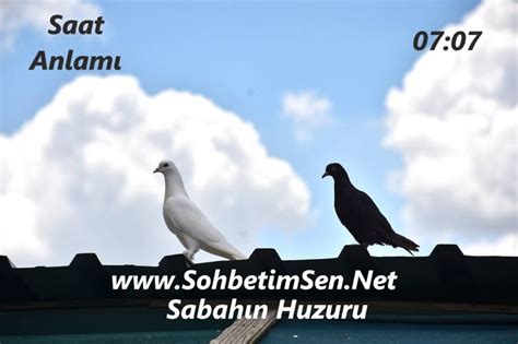 Saat Anlam Sohbetimsen Net Yeni Sohbet Siteleri Chat Sohbet