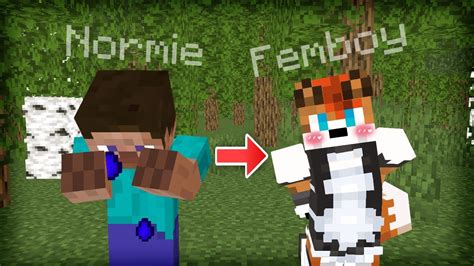 The 5 Stages Of Becoming A Furry Femboy In Minecraft Youtube