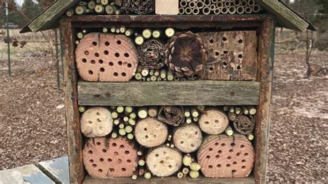 Everyone Can Grow A Garden (2018) #7: Build an Insect Hotel - YouTube