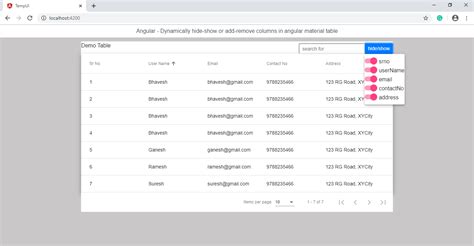 Angular 10 Datatable Show Hide Column Working Demo With Source Code Images