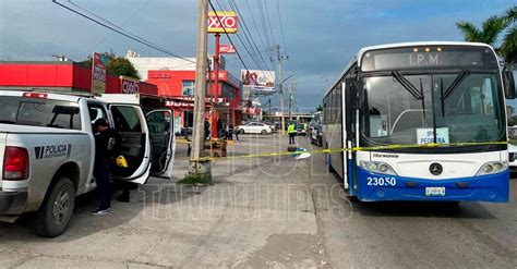 Galeria Fotografica Atropellado En Tampico